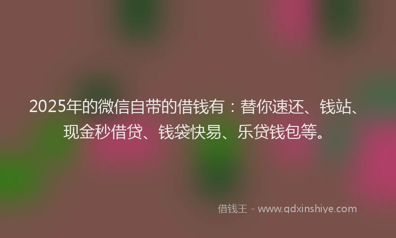 2025年的微信自带的借钱有：替你速还、钱站、现金秒借贷、钱袋快易、乐贷钱包等。