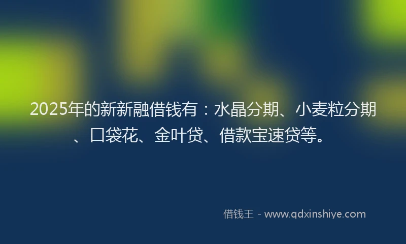 2025年的新新融借钱有：水晶分期、小麦粒分期、口袋花、金叶贷、借款宝速贷等。