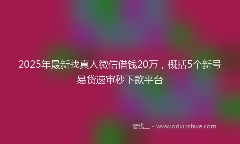 2025年最新找真人微信借钱20万，概括5个新号易贷速审秒下款平台