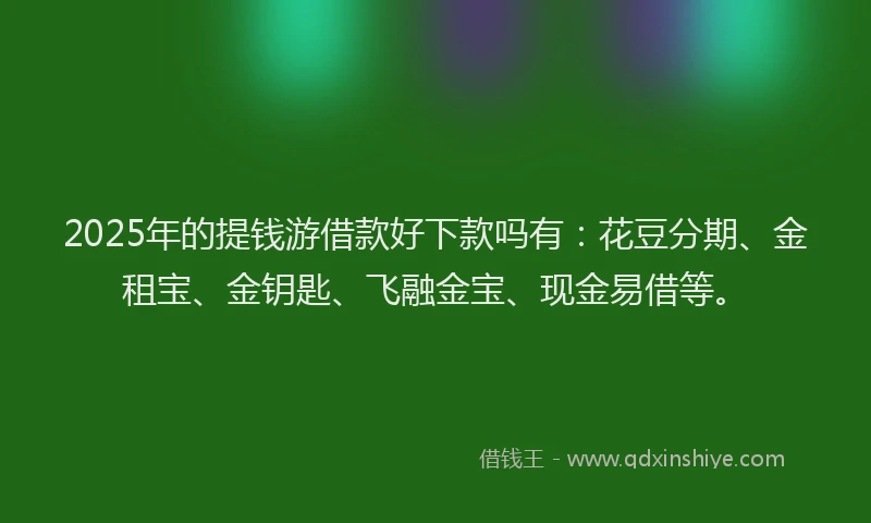 2025年的提钱游借款好下款吗有：花豆分期、金租宝、金钥匙、飞融金宝、现金易借等。