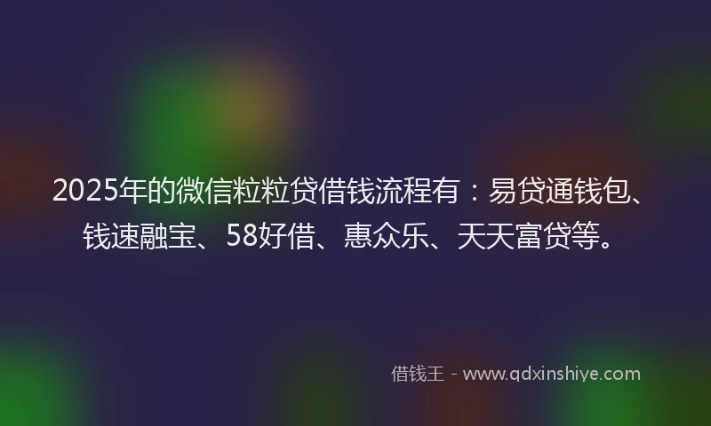 2025年的微信粒粒贷借钱流程有：易贷通钱包、钱速融宝、58好借、惠众乐、天天富贷等。