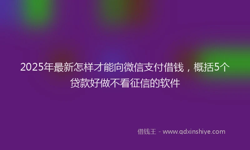 2025年最新怎样才能向微信支付借钱，概括5个贷款好做不看征信的软件