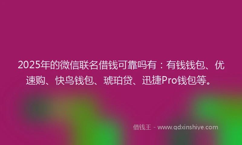 2025年的微信联名借钱可靠吗有：有钱钱包、优速购、快鸟钱包、琥珀贷、迅捷Pro钱包等。