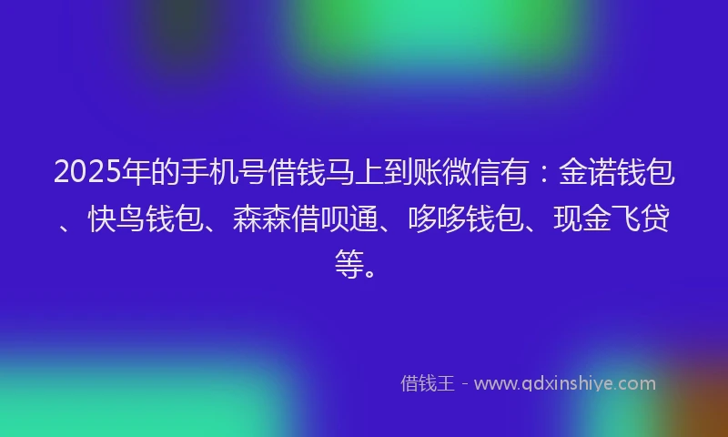 2025年的手机号借钱马上到账微信有：金诺钱包、快鸟钱包、森森借呗通、哆哆钱包、现金飞贷等。
