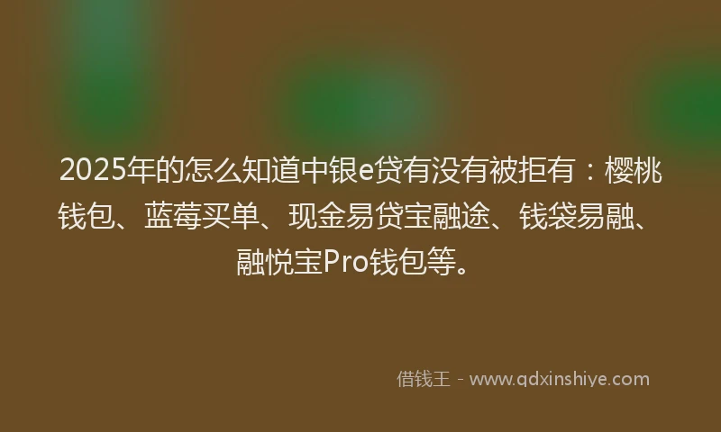 2025年的怎么知道中银e贷有没有被拒有：樱桃钱包、蓝莓买单、现金易贷宝融途、钱袋易融、融悦宝Pro钱包等。