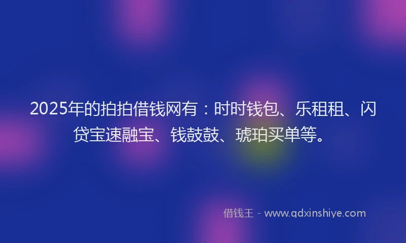 2025年的拍拍借钱网有：时时钱包、乐租租、闪贷宝速融宝、钱鼓鼓、琥珀买单等。
