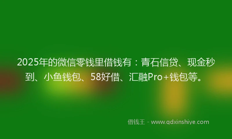 2025年的微信零钱里借钱有：青石信贷、现金秒到、小鱼钱包、58好借、汇融Pro+钱包等。