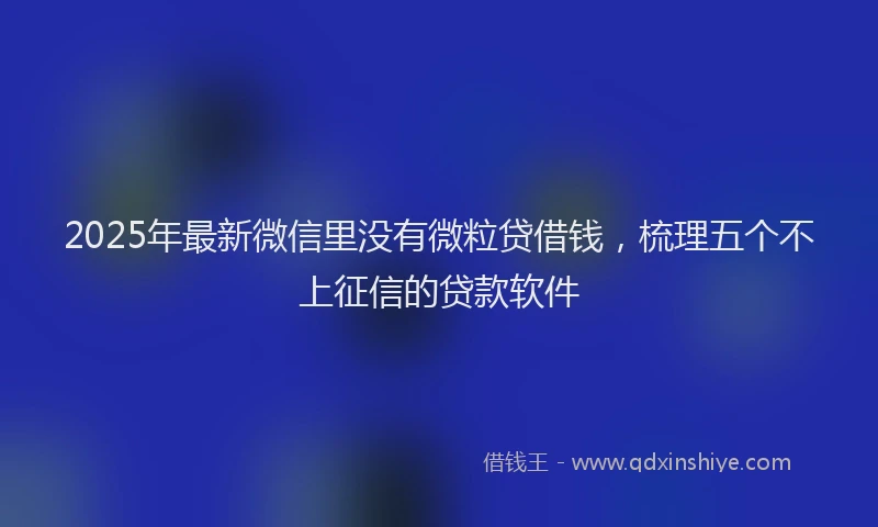 2025年最新微信里没有微粒贷借钱，梳理五个不上征信的贷款软件