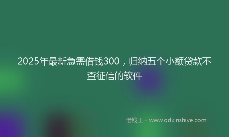 2025年最新急需借钱300，归纳五个小额贷款不查征信的软件