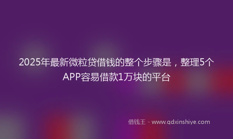 2025年最新微粒贷借钱的整个步骤是，整理5个APP容易借款1万块的平台