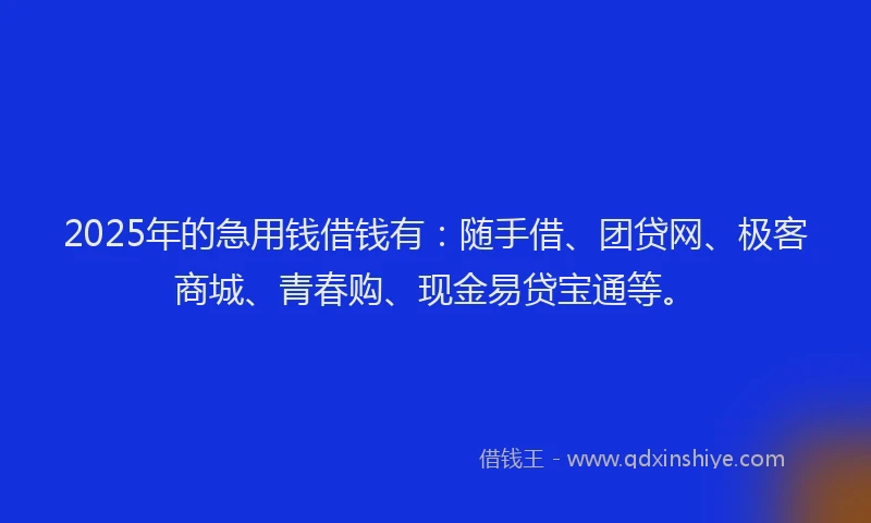 2025年的急用钱借钱有：随手借、团贷网、极客商城、青春购、现金易贷宝通等。
