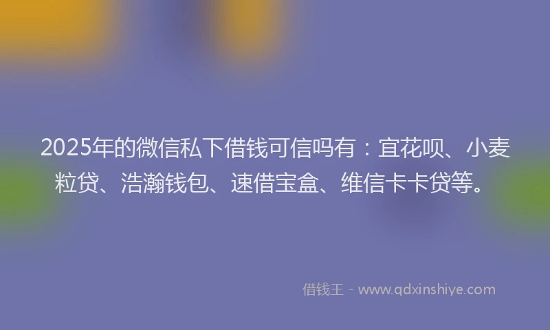 2025年的微信私下借钱可信吗有：宜花呗、小麦粒贷、浩瀚钱包、速借宝盒、维信卡卡贷等。