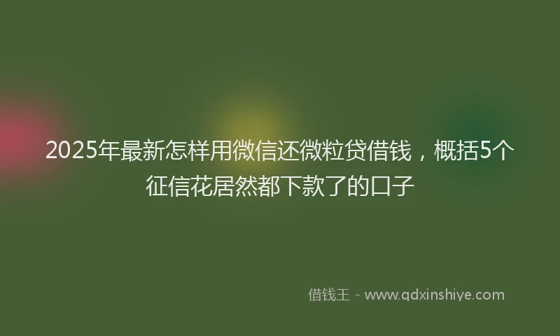 2025年最新怎样用微信还微粒贷借钱，概括5个征信花居然都下款了的口子