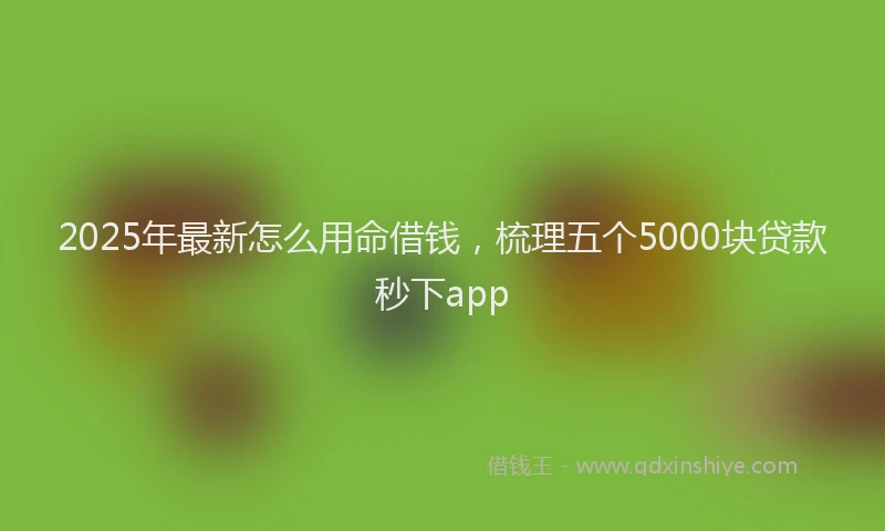 2025年最新怎么用命借钱，梳理五个5000块贷款秒下app