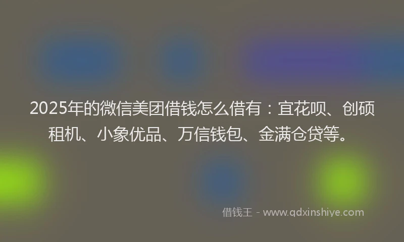 2025年的微信美团借钱怎么借有：宜花呗、创硕租机、小象优品、万信钱包、金满仓贷等。