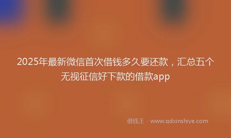 2025年最新微信首次借钱多久要还款，汇总五个无视征信好下款的借款app