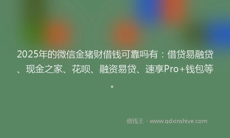 2025年的微信金猪财借钱可靠吗有：借贷易融贷、现金之家、花呗、融资易贷、速享Pro+钱包等。