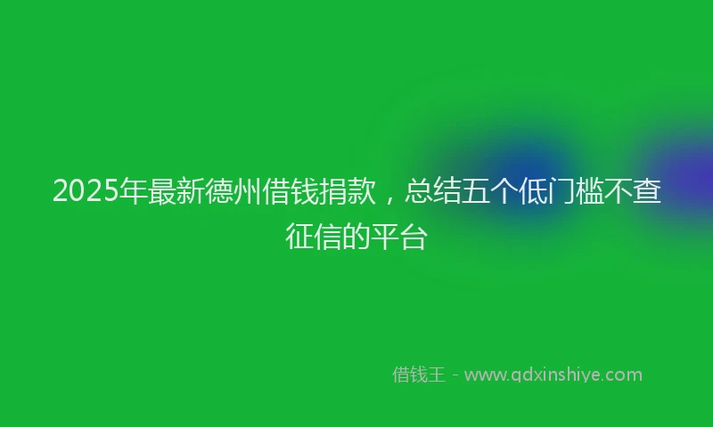 2025年最新德州借钱捐款，总结五个低门槛不查征信的平台