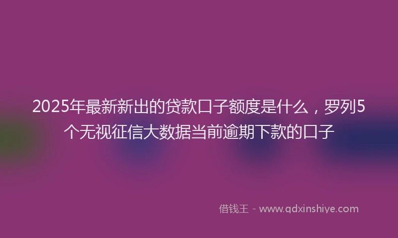 2025年最新新出的贷款口子额度是什么，罗列5个无视征信大数据当前逾期下款的口子
