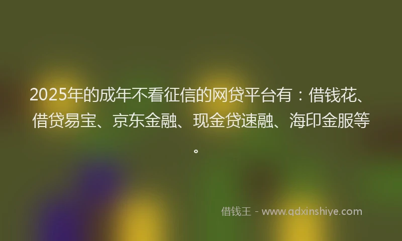 2025年的成年不看征信的网贷平台有：借钱花、借贷易宝、京东金融、现金贷速融、海印金服等。
