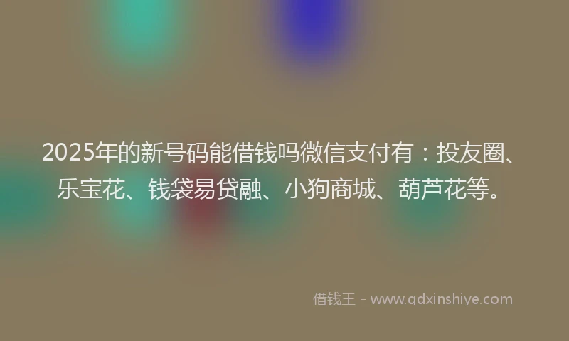 2025年的新号码能借钱吗微信支付有：投友圈、乐宝花、钱袋易贷融、小狗商城、葫芦花等。