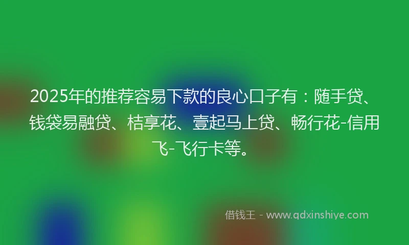 2025年的推荐容易下款的良心口子有：随手贷、钱袋易融贷、桔享花、壹起马上贷、畅行花-信用飞-飞行卡等。