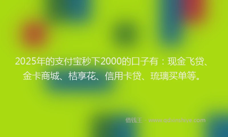 2025年的支付宝秒下2000的口子有：现金飞贷、金卡商城、桔享花、信用卡贷、琉璃买单等。