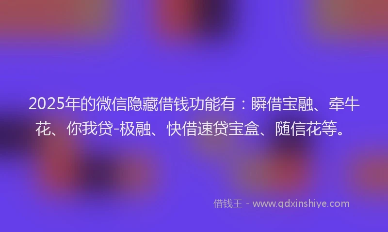 2025年的微信隐藏借钱功能有：瞬借宝融、牵牛花、你我贷-极融、快借速贷宝盒、随信花等。