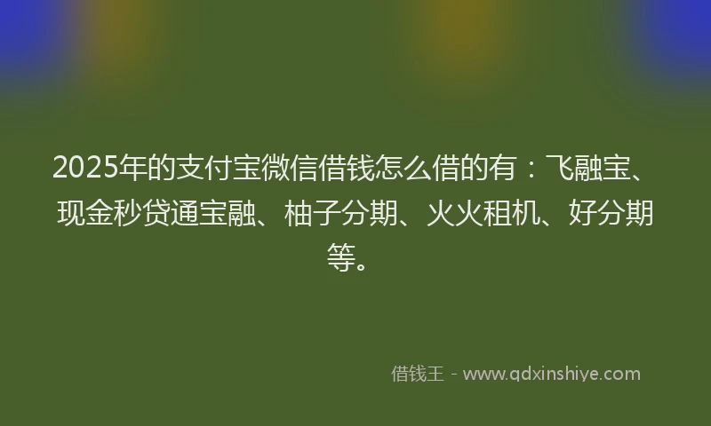 2025年的支付宝微信借钱怎么借的有：飞融宝、现金秒贷通宝融、柚子分期、火火租机、好分期等。