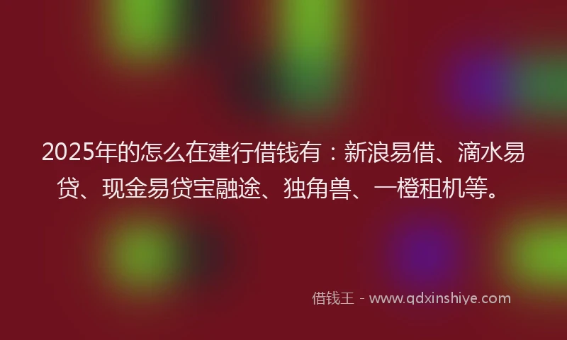 2025年的怎么在建行借钱有：新浪易借、滴水易贷、现金易贷宝融途、独角兽、一橙租机等。
