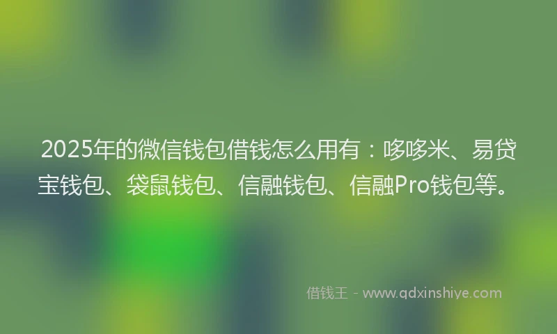 2025年的微信钱包借钱怎么用有：哆哆米、易贷宝钱包、袋鼠钱包、信融钱包、信融Pro钱包等。