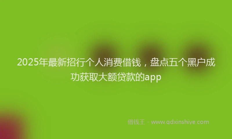 2025年最新招行个人消费借钱，盘点五个黑户成功获取大额贷款的app
