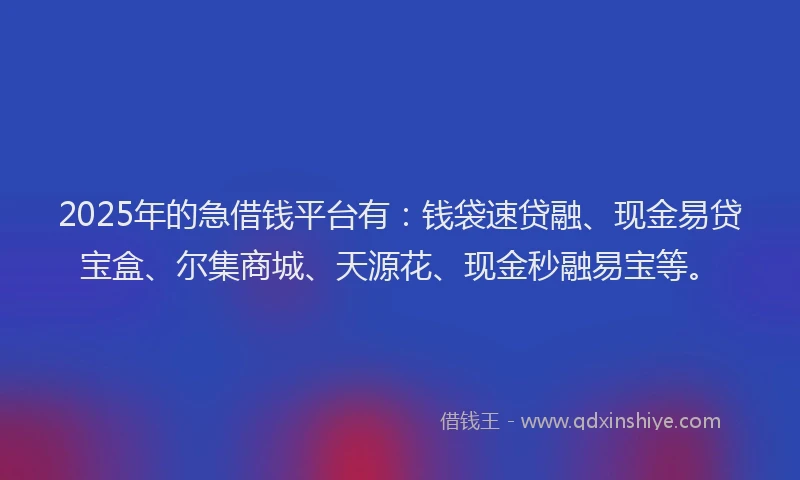 2025年的急借钱平台有：钱袋速贷融、现金易贷宝盒、尔集商城、天源花、现金秒融易宝等。