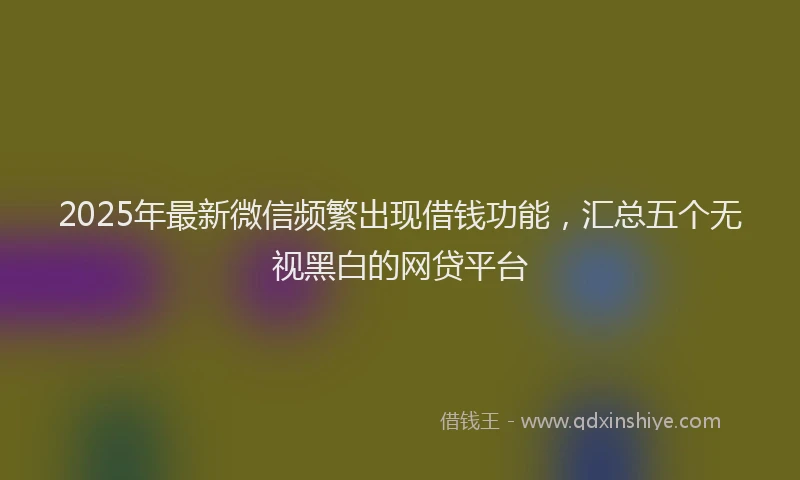 2025年最新微信频繁出现借钱功能，汇总五个无视黑白的网贷平台