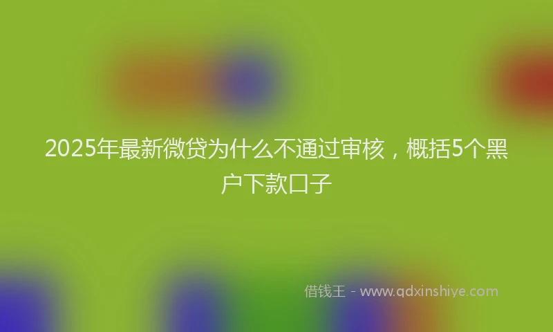 2025年最新微贷为什么不通过审核，概括5个黑户下款口子