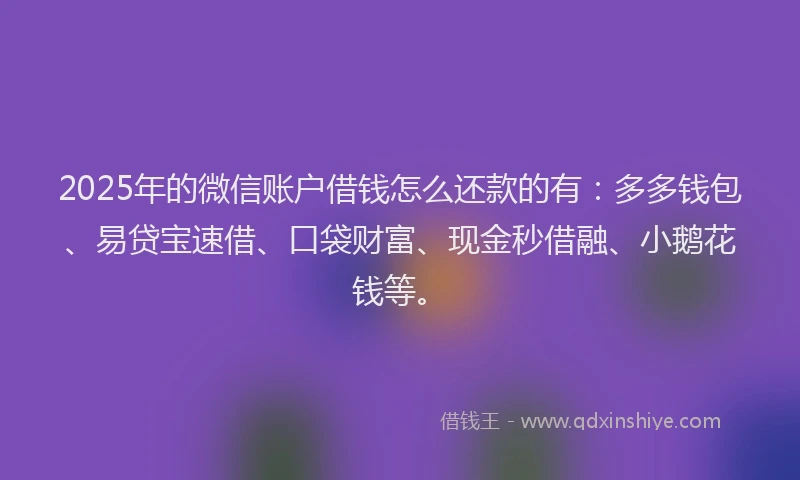 2025年的微信账户借钱怎么还款的有：多多钱包、易贷宝速借、口袋财富、现金秒借融、小鹅花钱等。