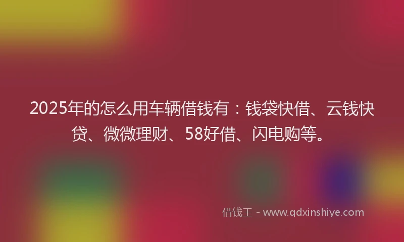 2025年的怎么用车辆借钱有：钱袋快借、云钱快贷、微微理财、58好借、闪电购等。