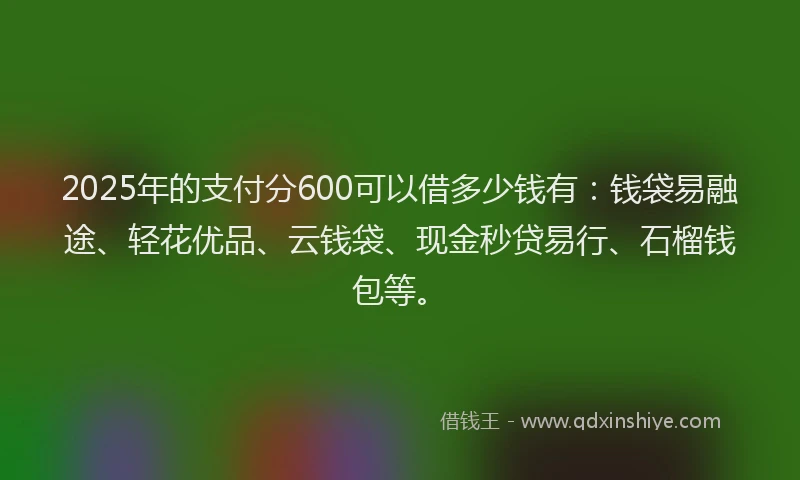 2025年的支付分600可以借多少钱有：钱袋易融途、轻花优品、云钱袋、现金秒贷易行、石榴钱包等。
