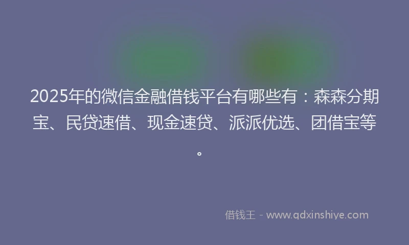 2025年的微信金融借钱平台有哪些有：森森分期宝、民贷速借、现金速贷、派派优选、团借宝等。