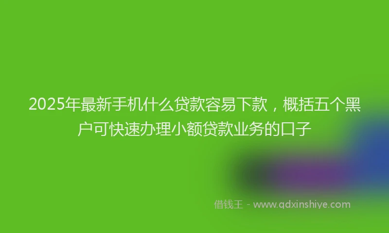 2025年最新手机什么贷款容易下款，概括五个黑户可快速办理小额贷款业务的口子