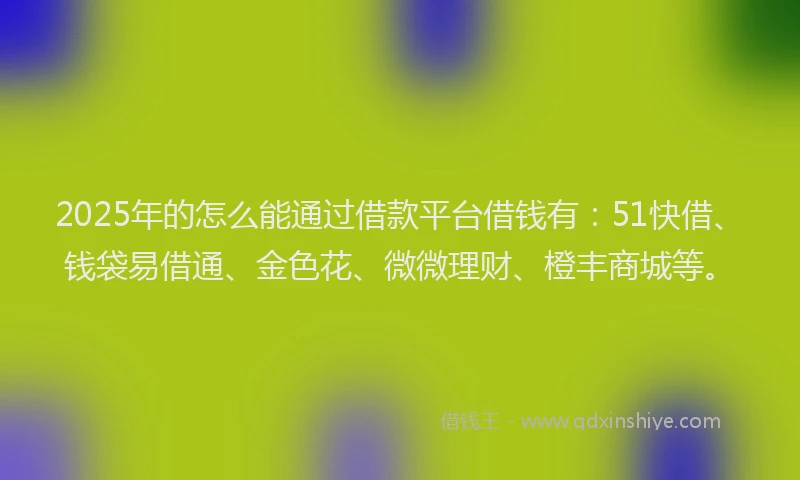 2025年的怎么能通过借款平台借钱有：51快借、钱袋易借通、金色花、微微理财、橙丰商城等。