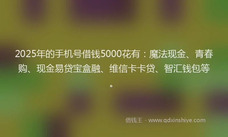 2025年的手机号借钱5000花有：魔法现金、青春购、现金易贷宝盒融、维信卡卡贷、智汇钱包等。