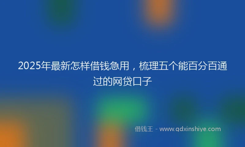 2025年最新怎样借钱急用，梳理五个能百分百通过的网贷口子