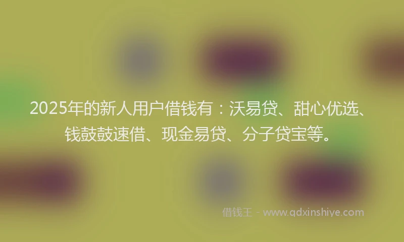 2025年的新人用户借钱有：沃易贷、甜心优选、钱鼓鼓速借、现金易贷、分子贷宝等。