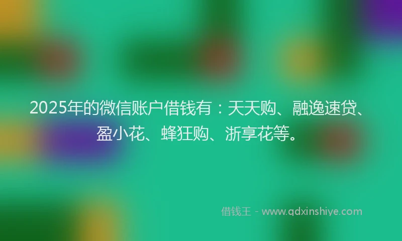 2025年的微信账户借钱有：天天购、融逸速贷、盈小花、蜂狂购、浙享花等。