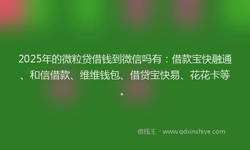 2025年的微粒贷借钱到微信吗有：借款宝快融通、和信借款、维维钱包、借贷宝快易、花花卡等。
