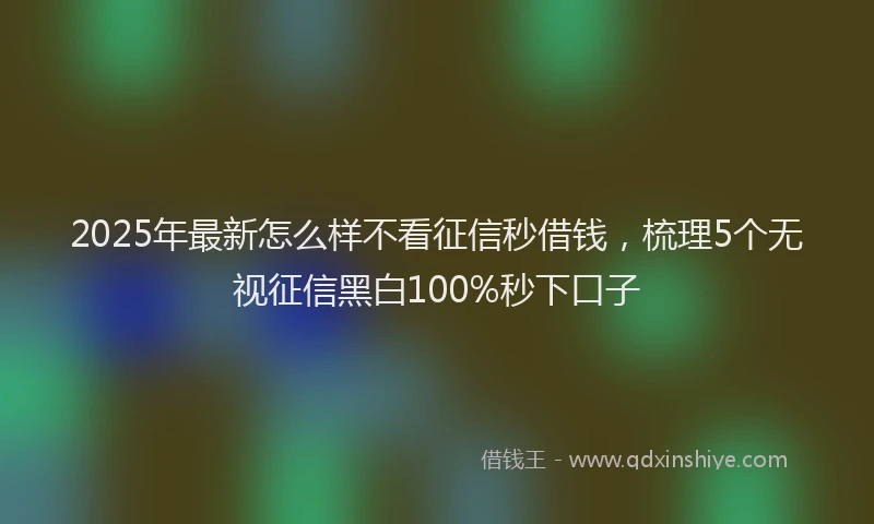 2025年最新怎么样不看征信秒借钱，梳理5个无视征信黑白100%秒下口子