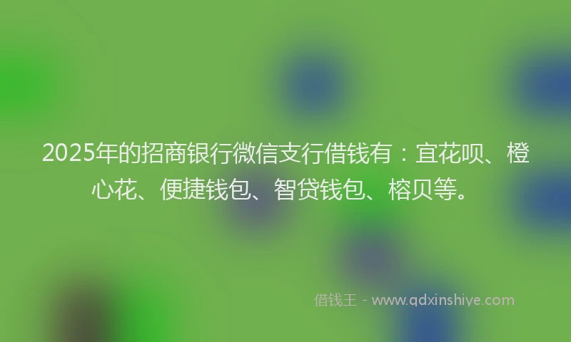 2025年的招商银行微信支行借钱有：宜花呗、橙心花、便捷钱包、智贷钱包、榕贝等。