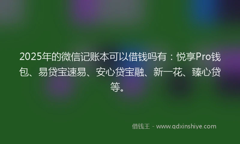 2025年的微信记账本可以借钱吗有：悦享Pro钱包、易贷宝速易、安心贷宝融、新一花、臻心贷等。