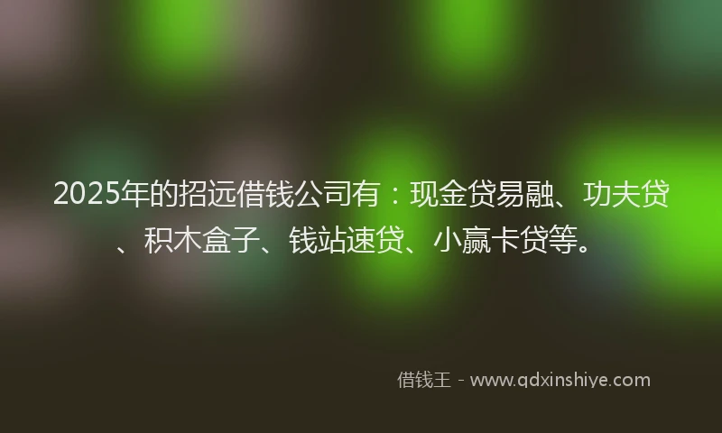 2025年的招远借钱公司有：现金贷易融、功夫贷、积木盒子、钱站速贷、小赢卡贷等。